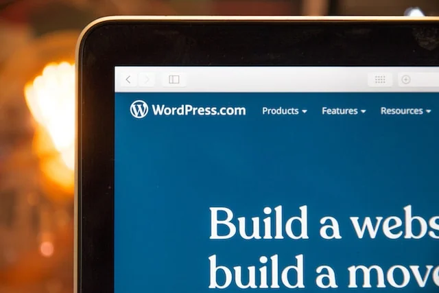 WordPress (1)